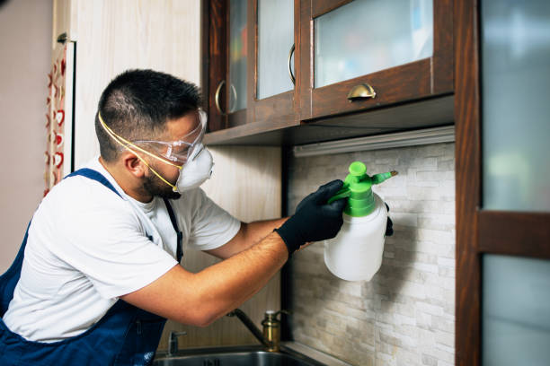 Best Commercial Pest Control Services  in Boardman, OR