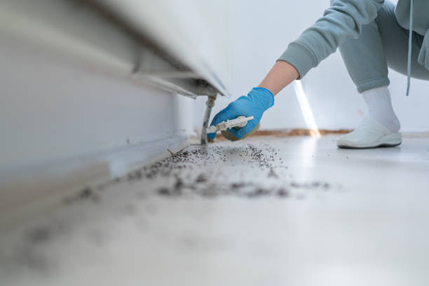 Best Pest Prevention Services  in Boardman, OR